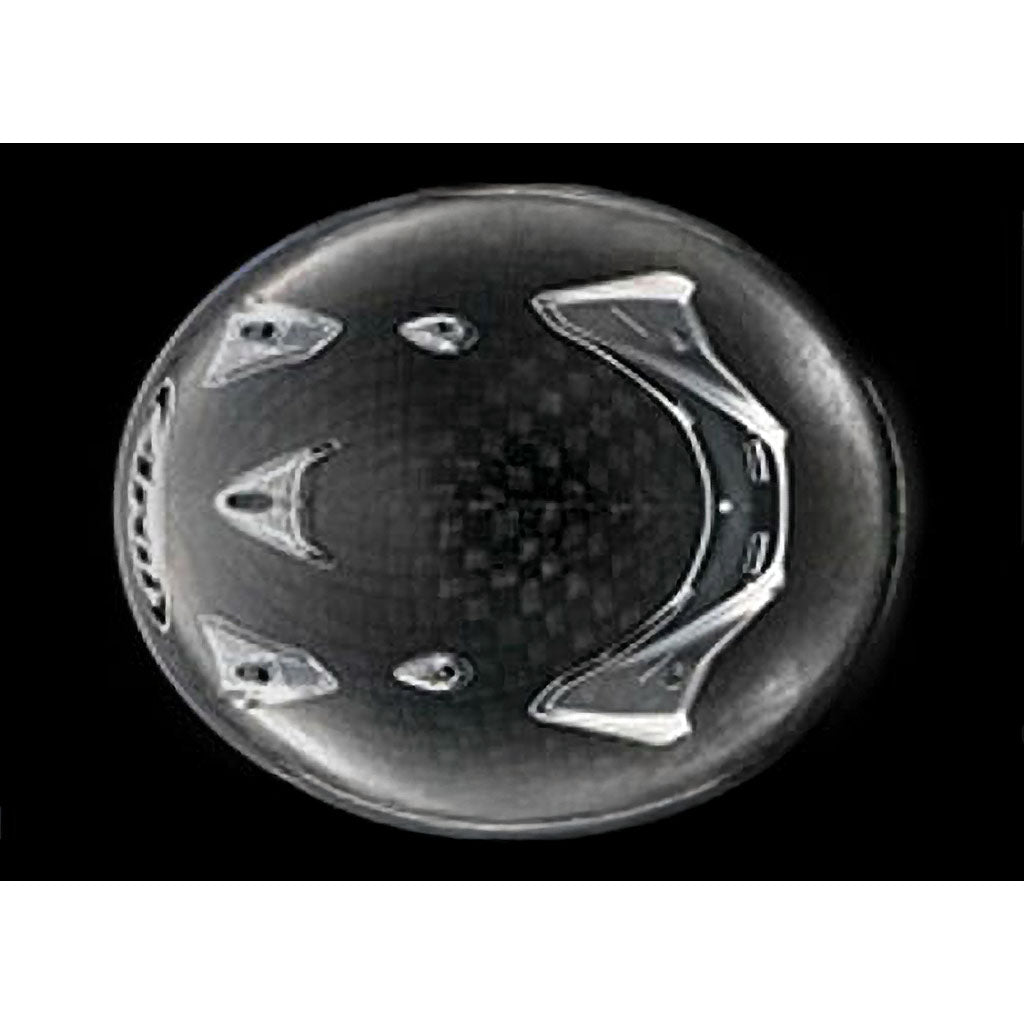 Arai GP-7SRC ABP 8860-2018 Carbon Fiber Helmet