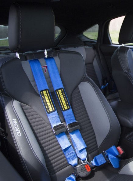 Schroth Quick-Fit Pro 4 Point Harness
