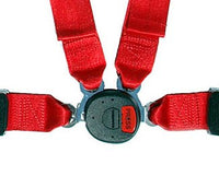 Thumbnail for Schroth Quick-Fit Pro 4 Point Harness
