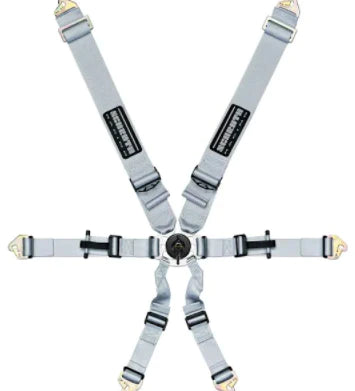 Schroth Flexi 2x2 6 Point Racing Harness