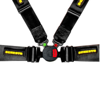 Thumbnail for Schroth Porsche GT3-GT4 4 Point Harness (Anti-Sub)