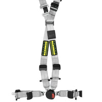 Thumbnail for Schroth Quick-Fit Pro 4 Point Harness
